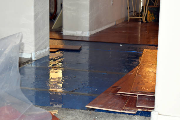 Professional Burst Pipe Cleanup technician working in Whitman, MA